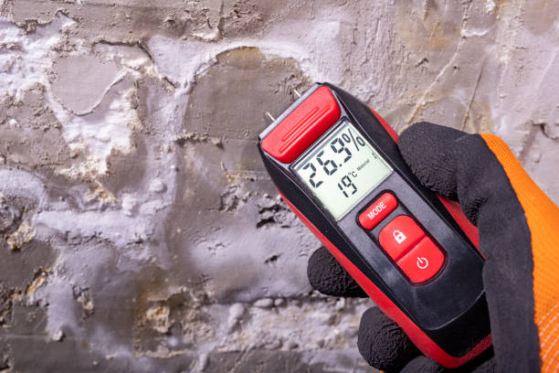 Best Commercial Mold Remediation in Reedurban, OH