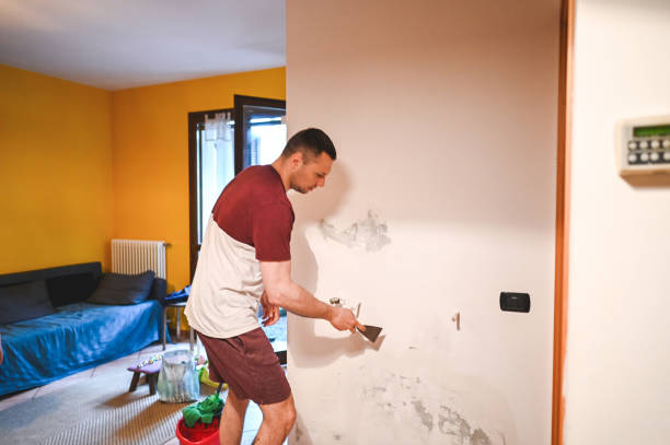 Best Residential Mold Remediation in Reedurban, OH